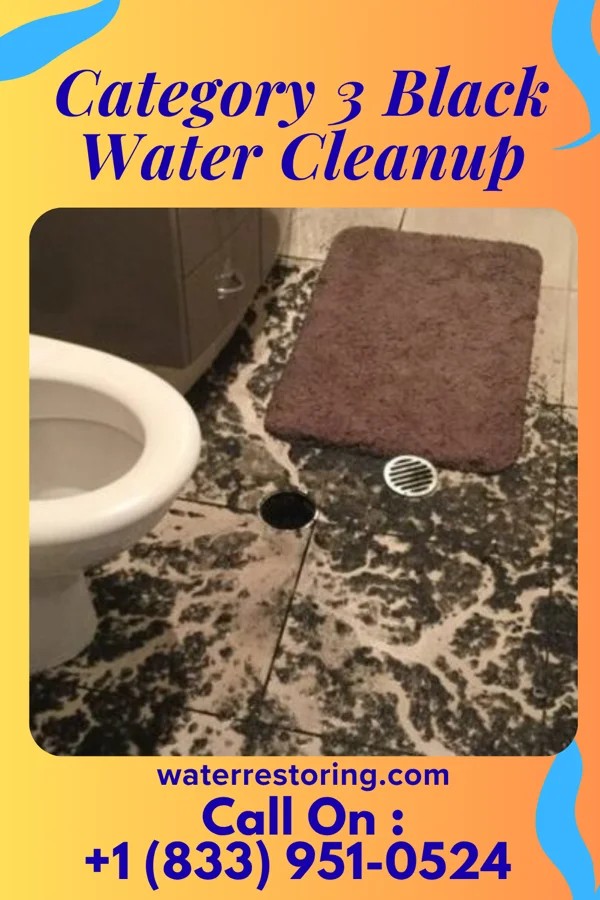 Category 3 Black Water Cleanup in Arnoldsville, GA