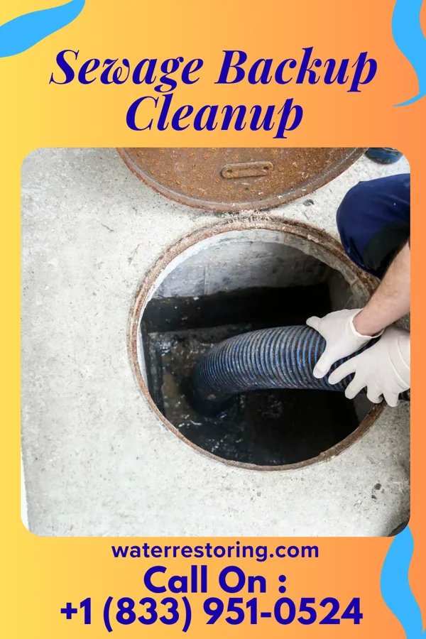 Sewage Backup Cleanup in Arnoldsville, GA